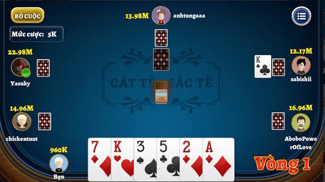 bai-catte