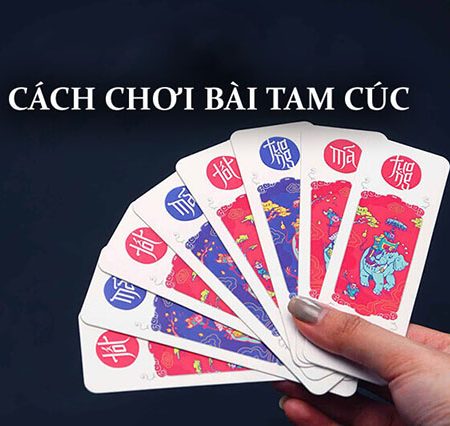 Hướng dẫn cách đánh bài tam cúc đầy đủ dễ hiểu nhất